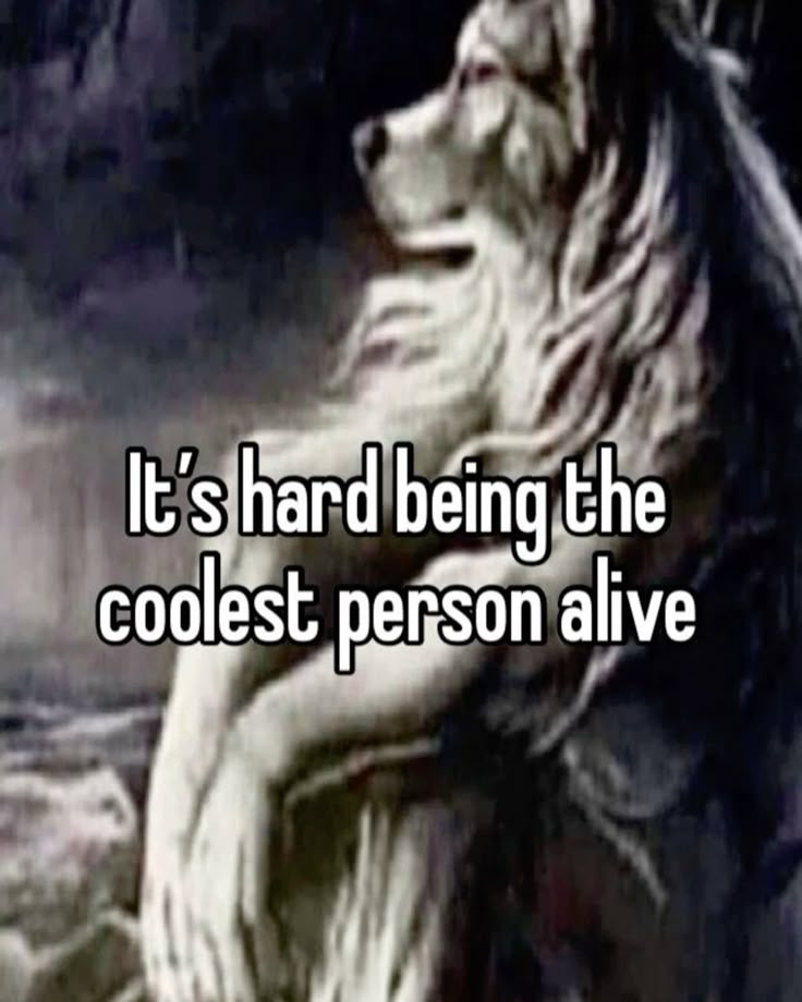 Sói già cô độc meme