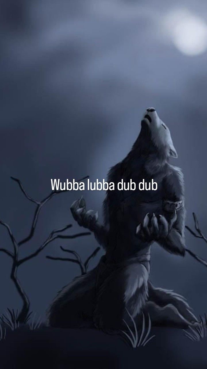 Sói hoang cô độc meme thường được chế lại để châm biếm sự tự tin thái quá