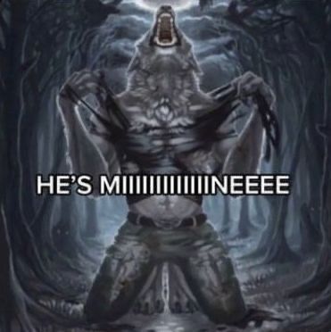 Sói hoang cô độc meme trở thành biểu tượng châm biếm ngộ nghĩnh quen thuộc