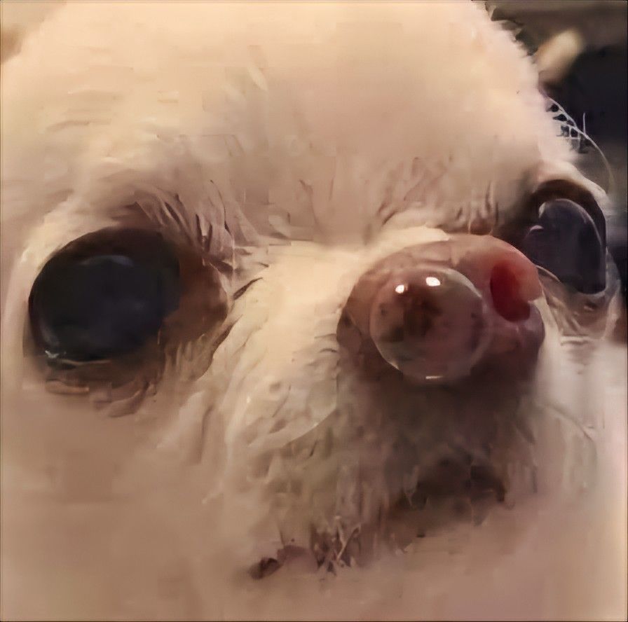 Sống với tao là phải chịu được sự cute
