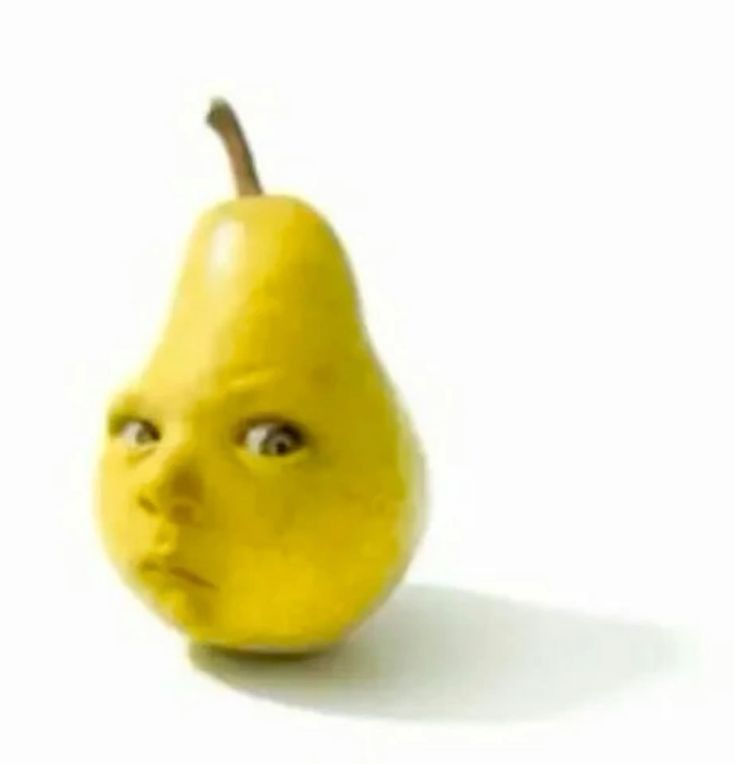 Sus nghĩa là gì
