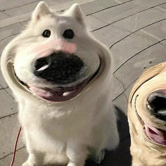 Tao gầm gừ vậy thôi chứ hiền lắm