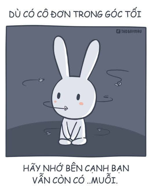 Mỗi lần dỗi là một lần meme sống lại