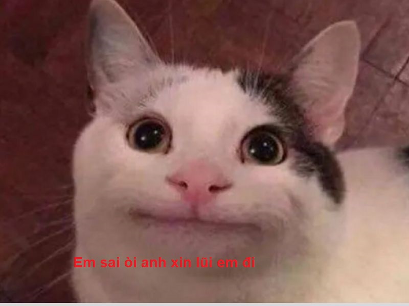 Thành thật xin lỗi, nhưng mong bạn quên luôn chuyện đó