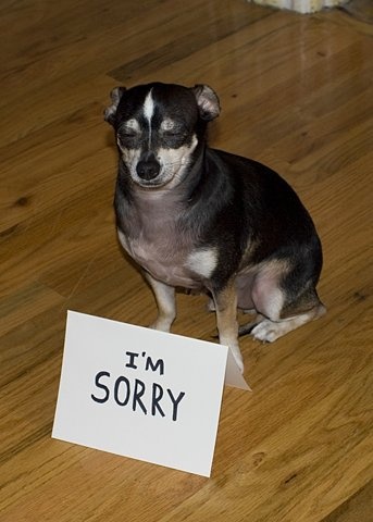 Thành thật xin lỗi, nhưng thật sự là… chịu luôn