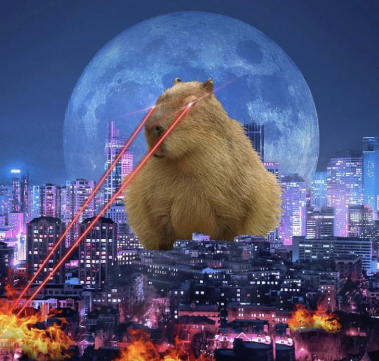 Thấy capybara là thấy bình yên rồi đó