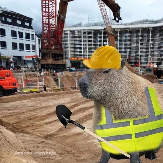 Thấy capybara ngồi im, lòng cũng yên