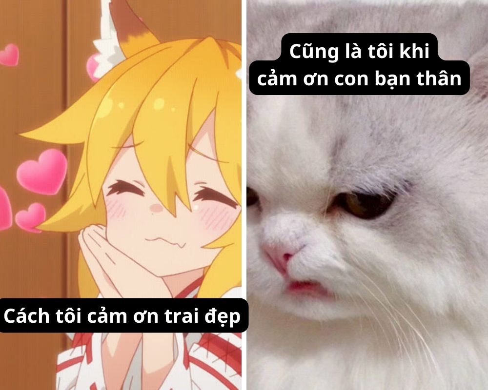 Thế giới không hoàn hảo, nhưng vẫn có cảm ơn
