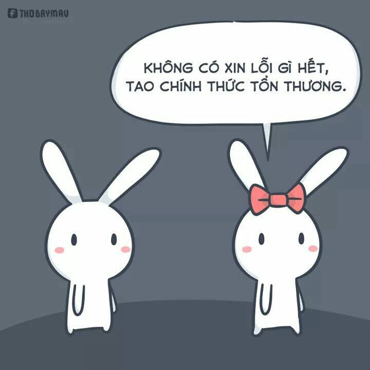 Không ai thật sự hỏi: thỏ có ổn không?