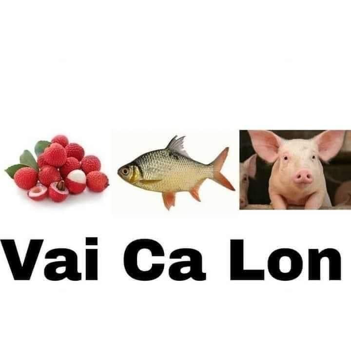 Tiếng cười bùng nổ từ meme có cái l