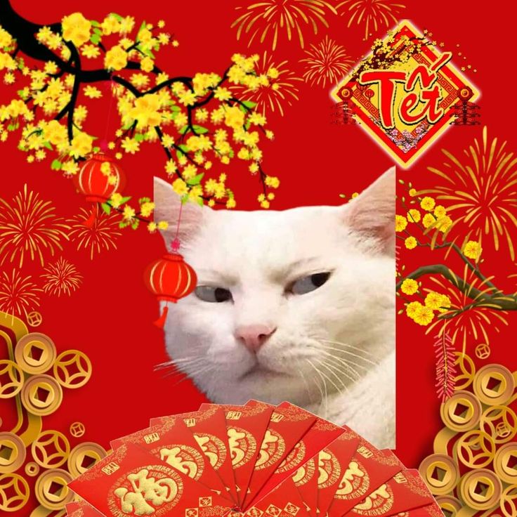 Tiếng cười từ meme Tết giúp tinh thần ngày xuân thêm phấn chấn