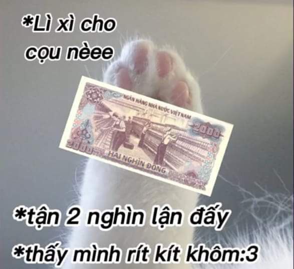Tiếng cười từ meme Tết khiến ngày xuân thêm phần ý nghĩa