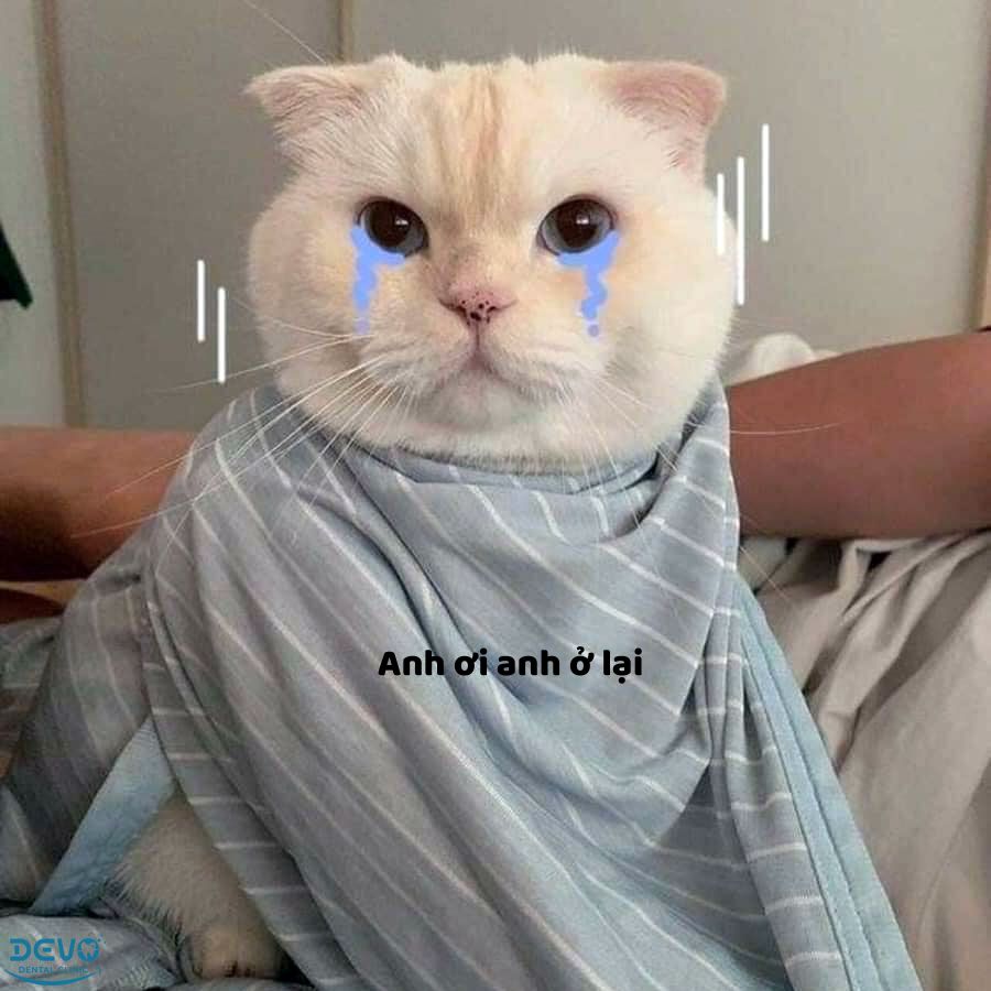 Tim em không còn thiết tha điều gì nữa