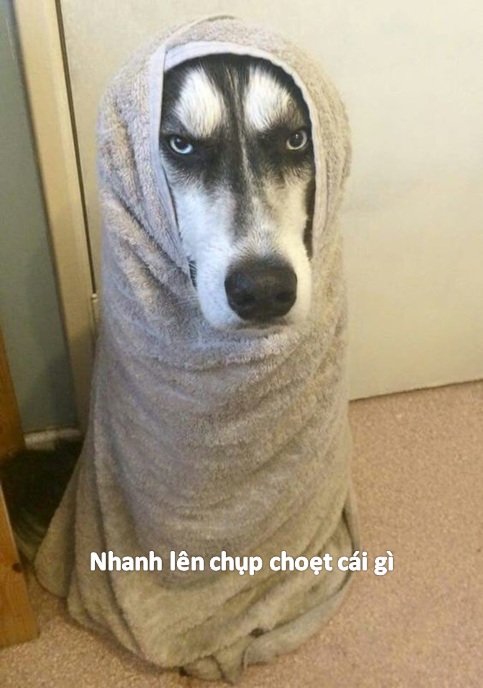Tình trạng: biết phải làm gì nhưng lười làm
