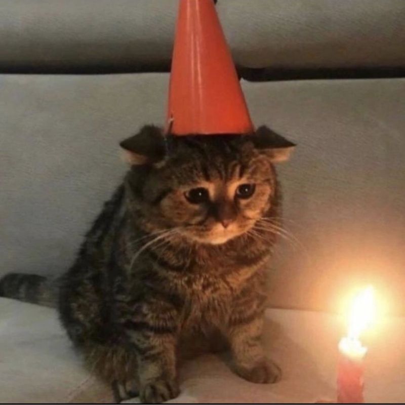 Tỏ vẻ bơ đời nhưng hay giật mình vô lý