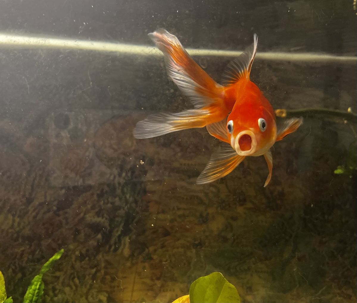 Tôi bất ngờ nhưng vũ trụ thì có vẻ không