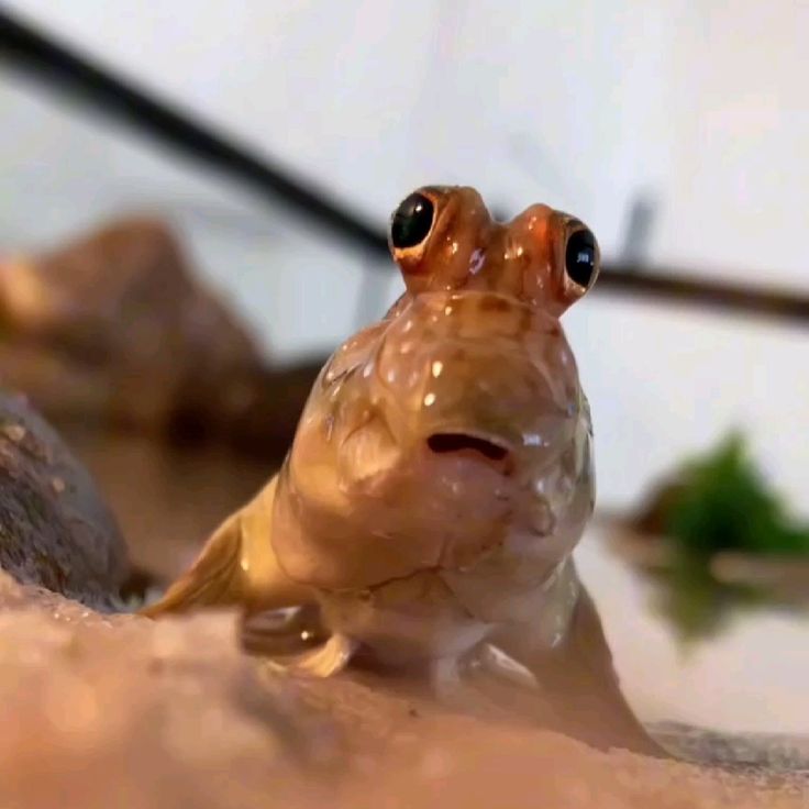 Tôi chỉ blink một cái mà thế giới thay đổi