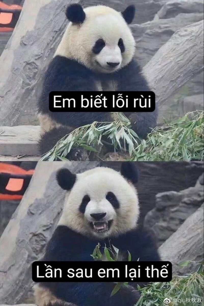 Tôi đã nói xin lỗi, còn tha thứ là việc của bạn