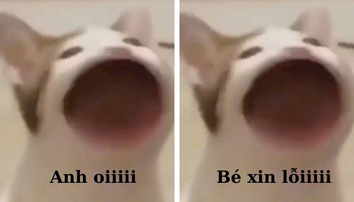 Tôi không cố ý đâu, lần nào cũng thế thôi