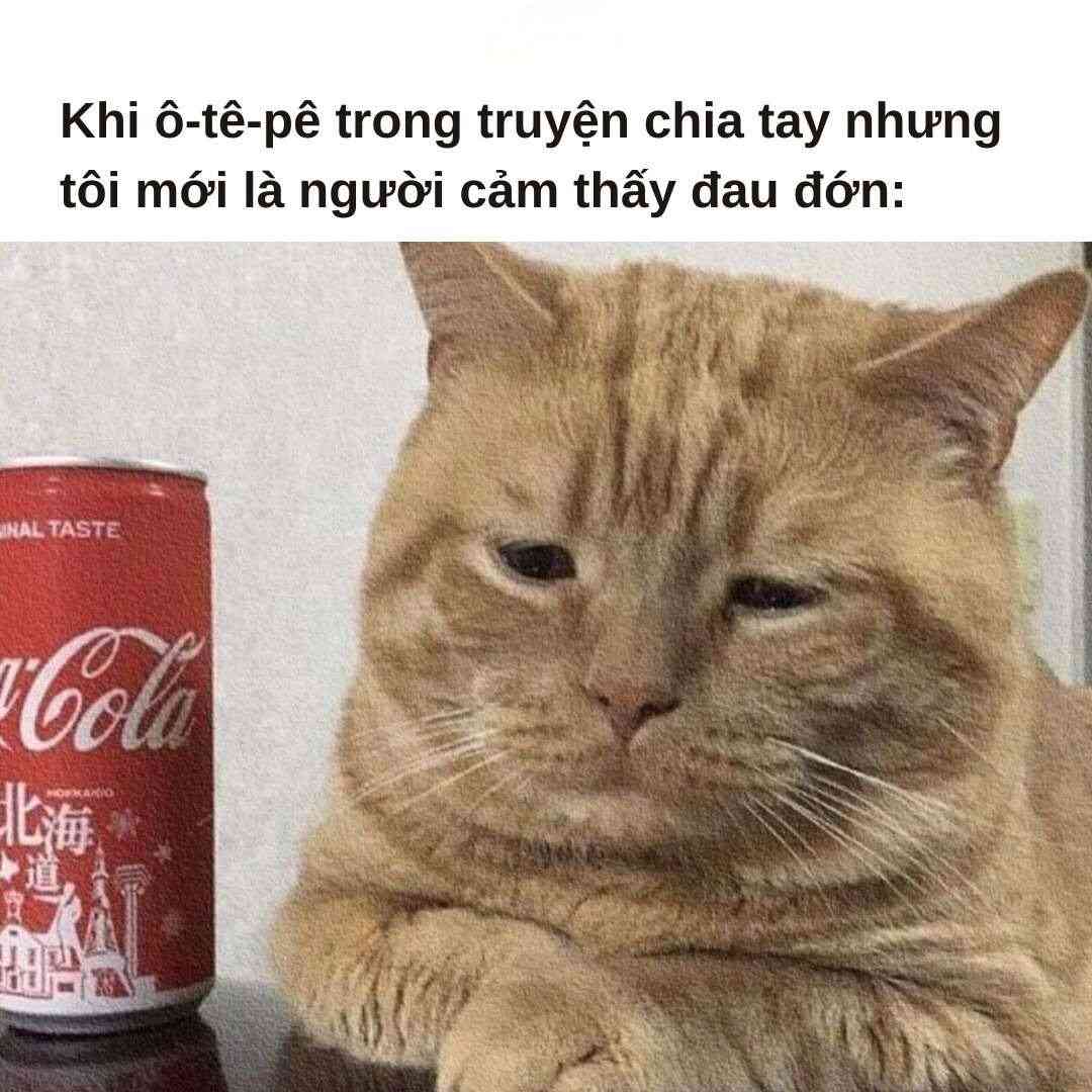 Tôi không giỏi kiềm chế nước mắt đâu
