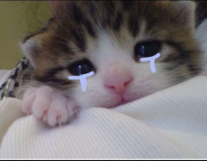 Tôi không ngại nhận lỗi, miễn là không bị la