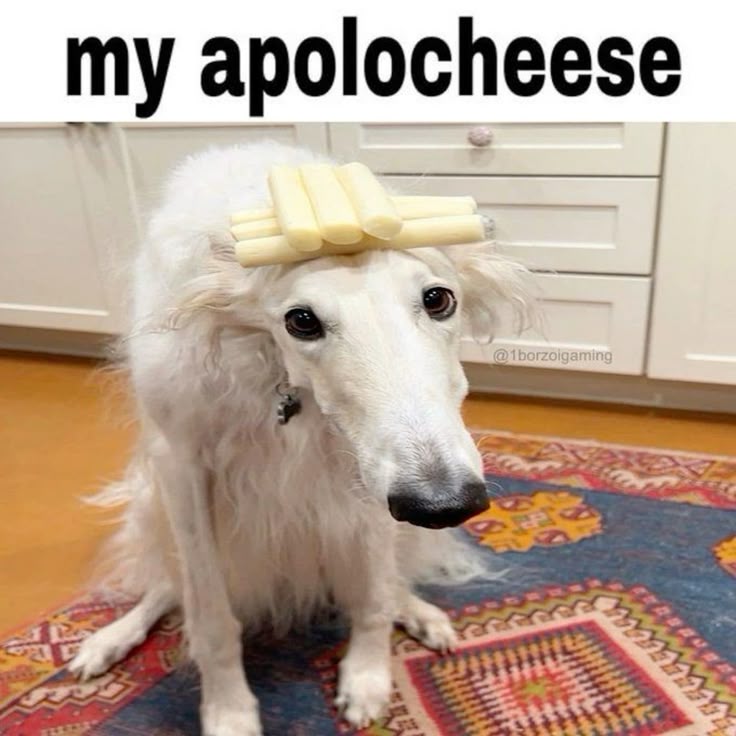 Tôi nói xin lỗi không phải vì sai, mà vì ngại