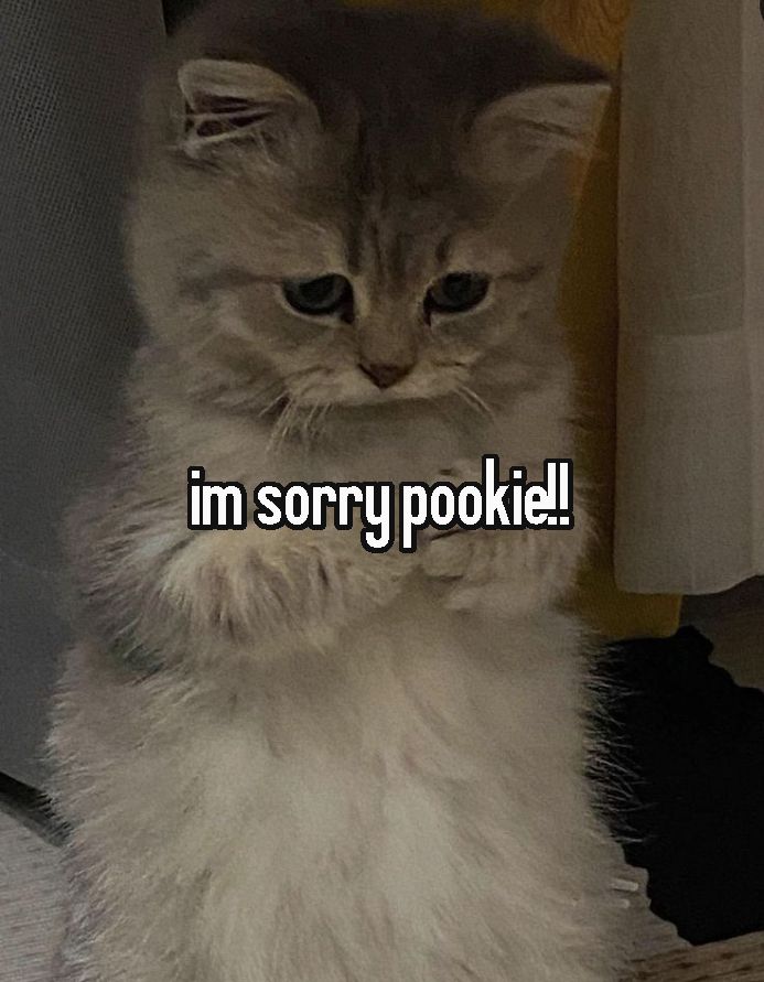 Tôi quen xin lỗi rồi, giờ nói mà không run nữa