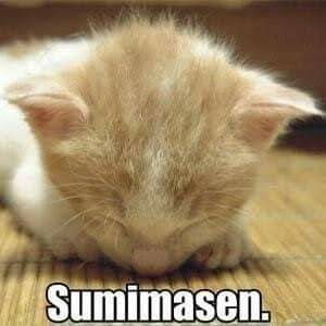 Tôi sai rồi, sai ngay từ khi mở app nhắn tin