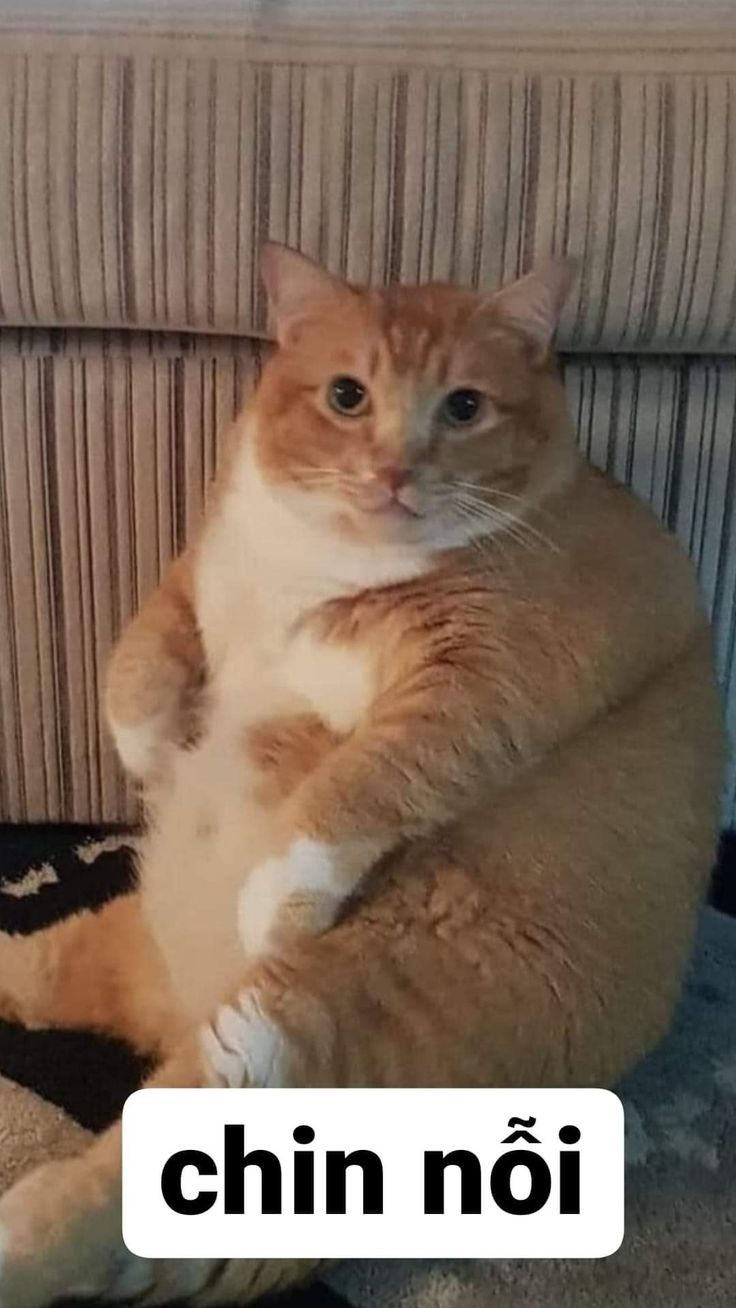 Tôi sai rồi, và bạn cũng sai vì tin tôi