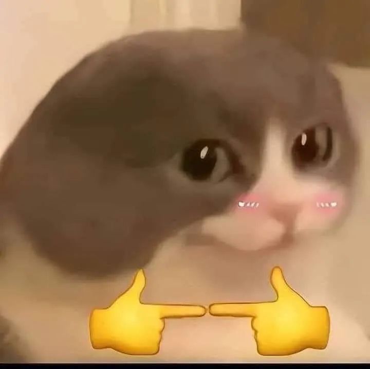 Tôi thật sự xin lỗi, nhưng vẫn giữ vững lập trường