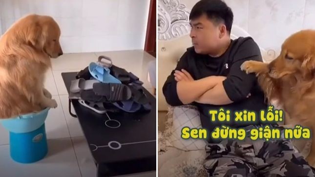 Tôi xin lỗi nha, nhưng đừng mong có thay đổi