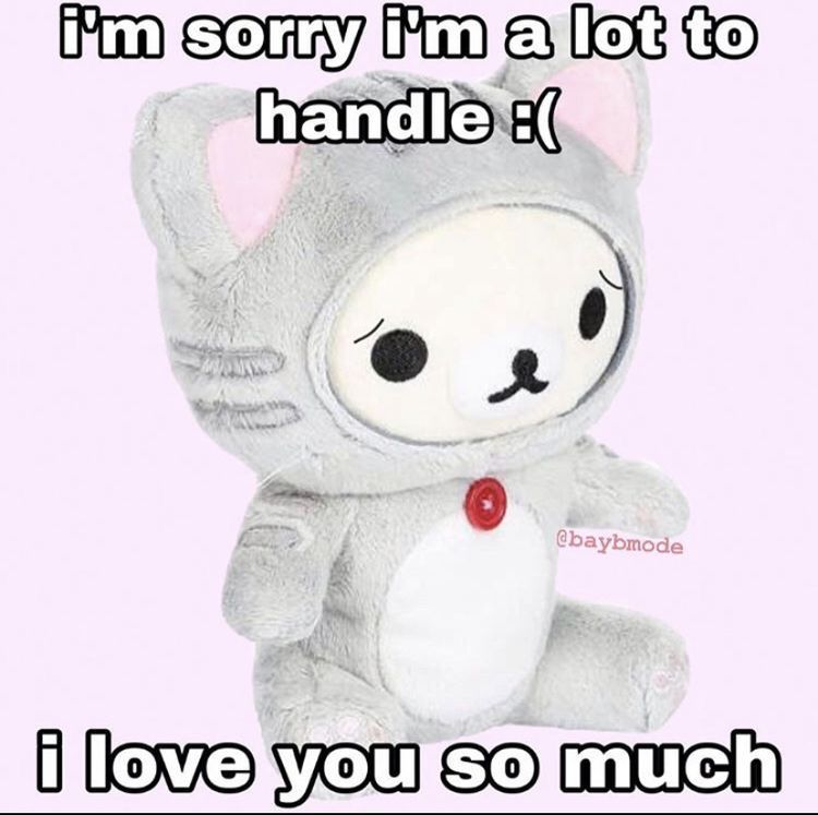 Tôi xin lỗi nhưng… bạn cũng sai đó nha