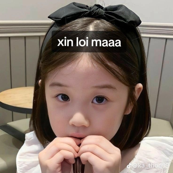 Tôi xin lỗi vì hành động, chứ suy nghĩ vẫn thế