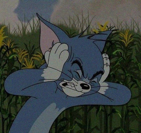 Tom chính là biểu tượng của cố gắng vô vọng