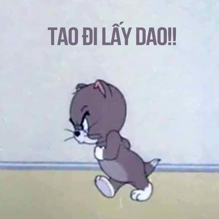 Tom không cần thắng, chỉ muốn được thấu hiểu