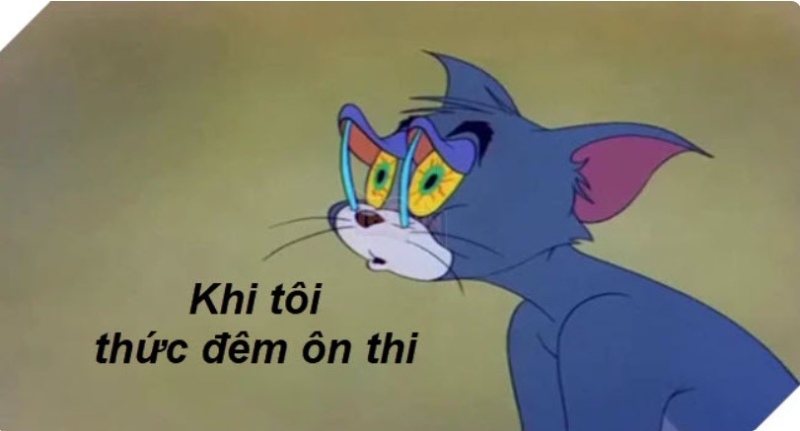 Mỗi lần xem là một lần thấy mình trong Tom