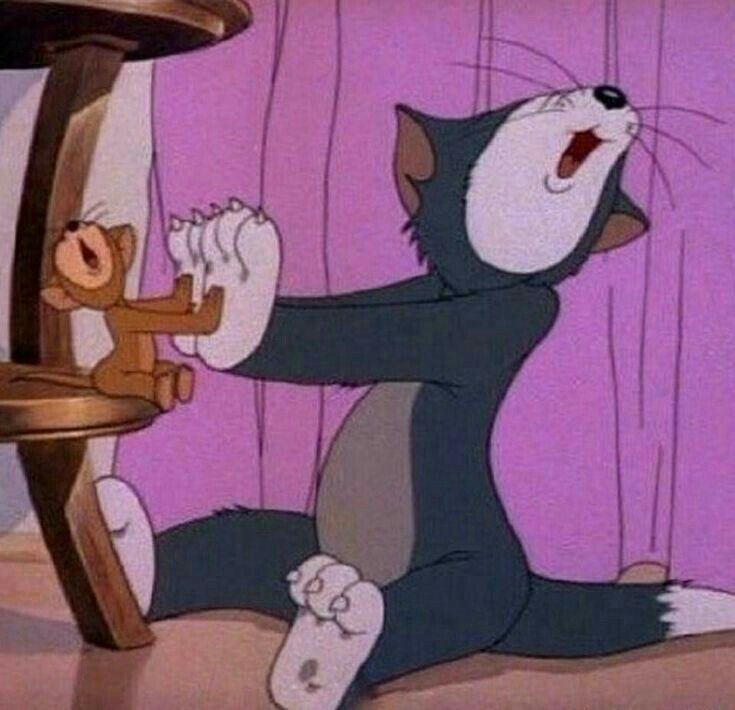 Tom và lòng kiên nhẫn đi cùng năm tháng