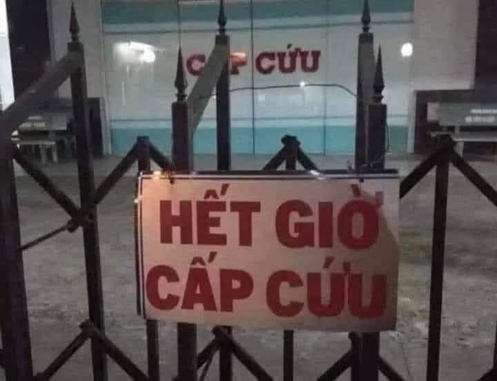 Trình này chịu, hết cứu