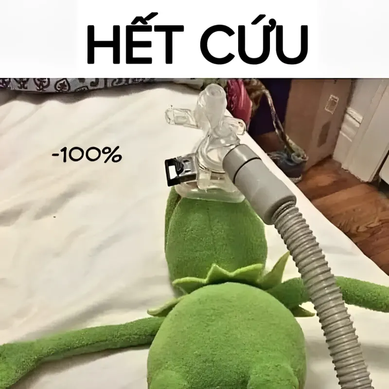 Tự hỏi sao chưa bị block