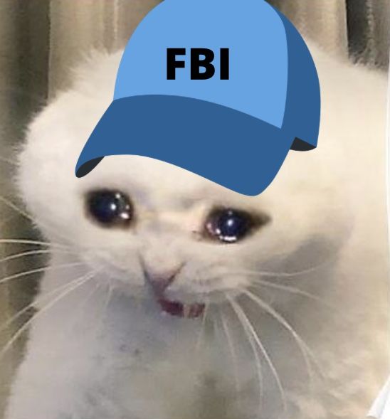 Từ ngày biết meme này, sống không còn bình yên