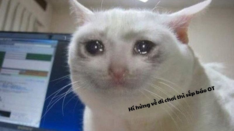 Tự nhiên thấy lòng trống rỗng, còn gì nữa đâu