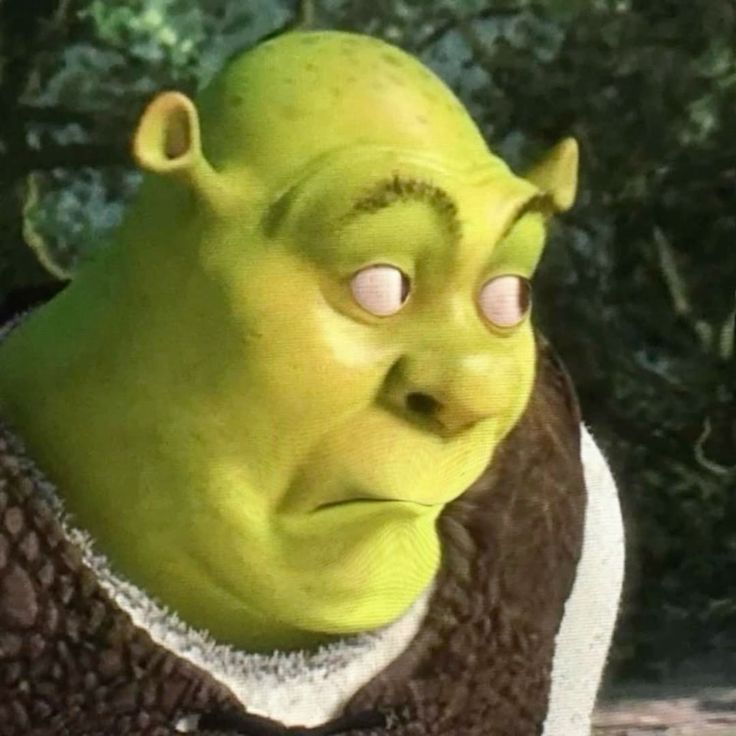 Meme thằn lằn đội quần