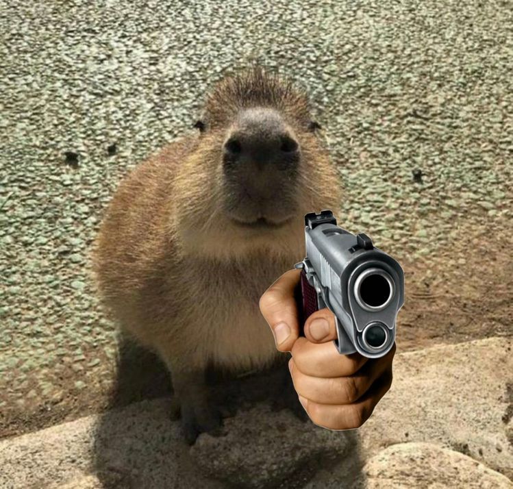 Tụi bay cứ lo, capybara ngồi nhai cỏ