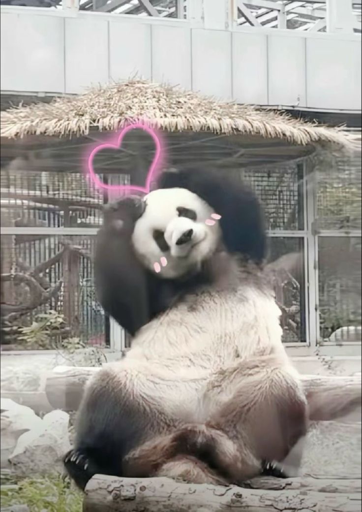 Tui chỉ cần sự bình yên không cần lời giải thích