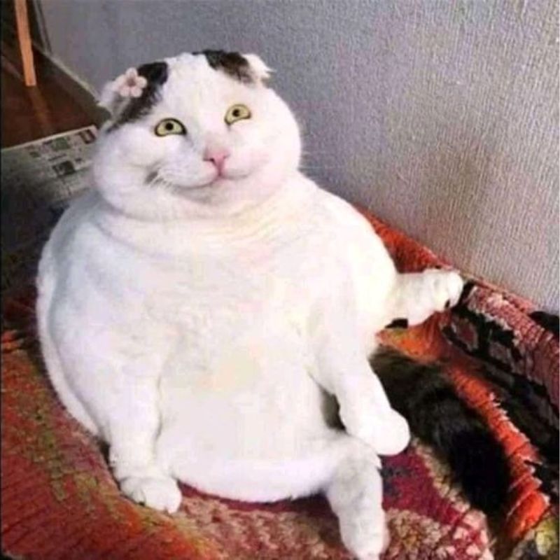 Tui chỉ thở thôi mà cũng bị nghi ngờ