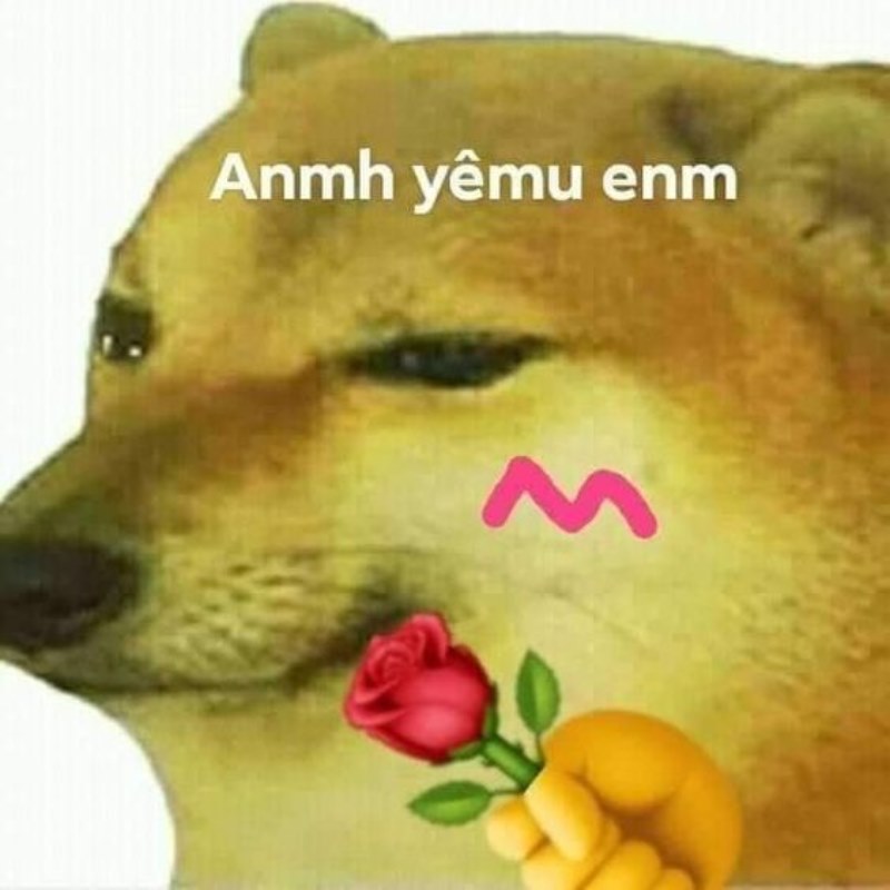 Tui có ý tốt nhưng nói ra nghe ngu quá