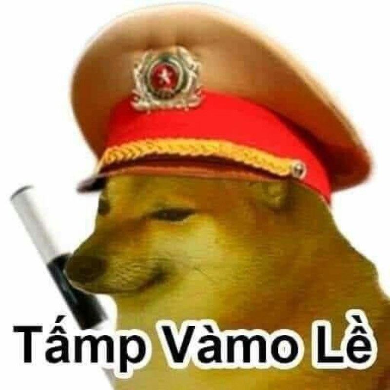 Tui đang đọc, nhưng não đang dạo chơi
