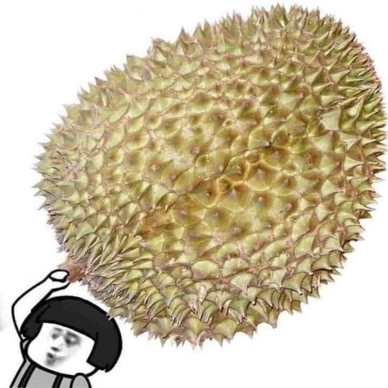 Tui đang vui, đừng troll kẻo mất mạng oan