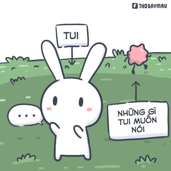 Gió thổi nhẹ nhưng lòng thỏ lặng