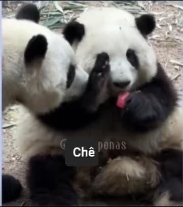 Tui không cố tình khó hiểu, chỉ vô thức thôi